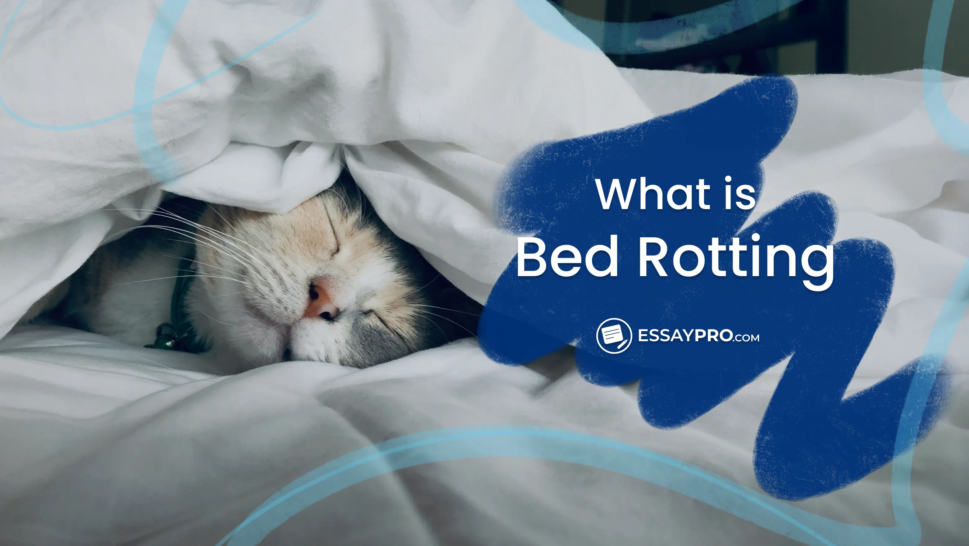 what is bed rotting